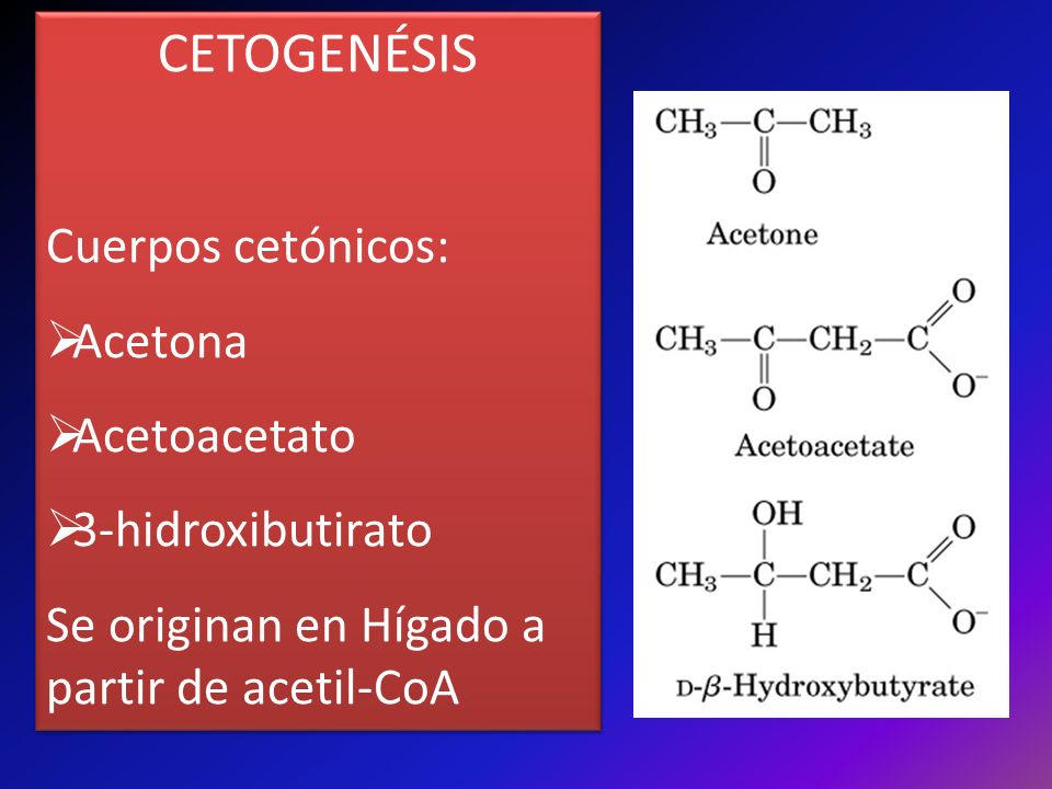 CETOGENÉSIS Cuerpos cetónicos: Acetona Acetoacetato 3-hidroxibutirato