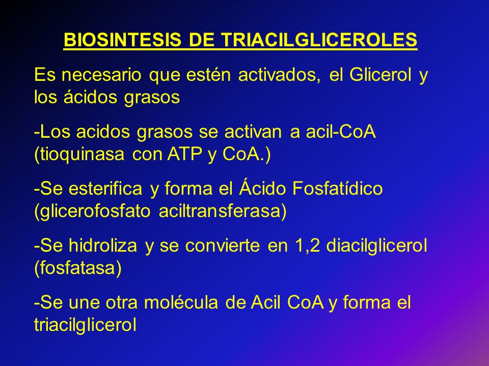 BIOSINTESIS DE TRIACILGLICEROLES