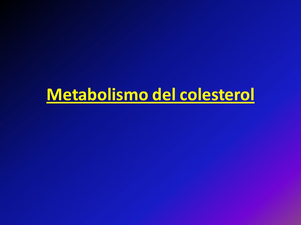 Metabolismo del colesterol