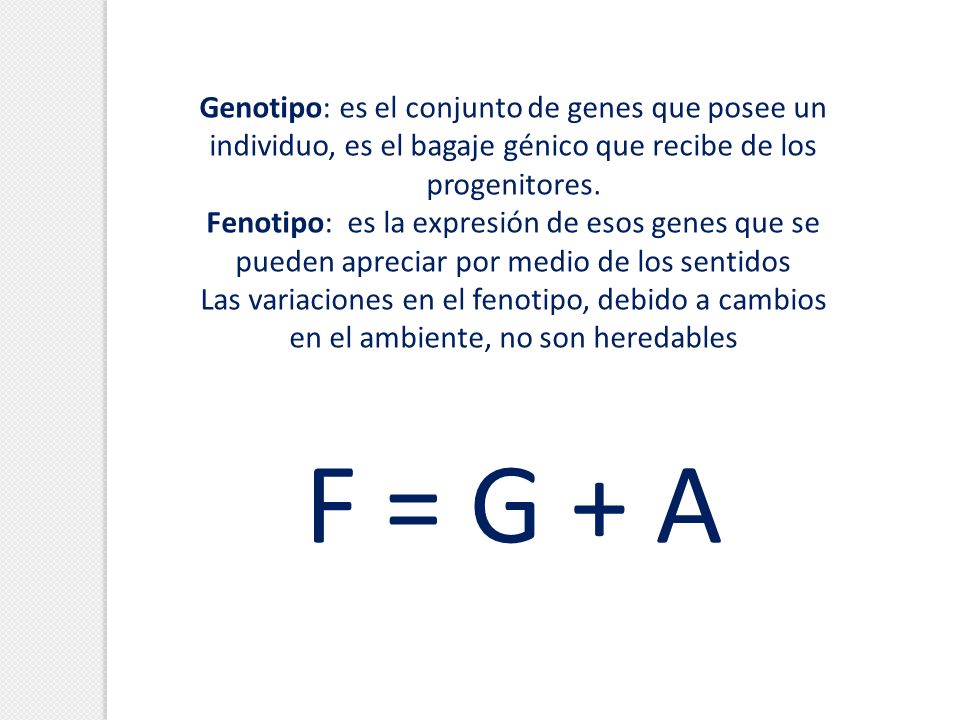 Genotipo: es el conjunto de genes que posee un individuo, es el bagaje génico que recibe de los progenitores.