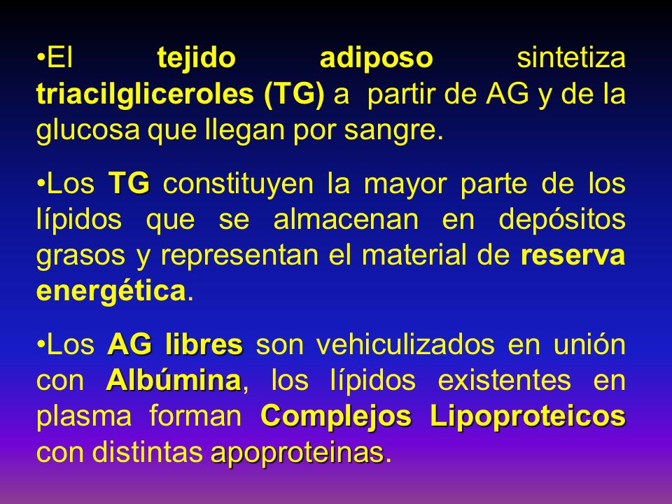 El tejido adiposo sintetiza triacilgliceroles (TG) a partir de AG y de la glucosa que llegan por sangre.