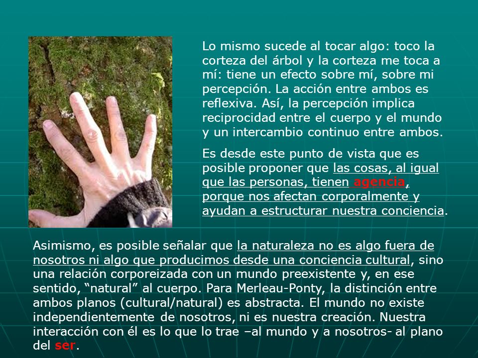 Lo mismo sucede al tocar algo: toco la corteza del árbol y la corteza me toca a mí: tiene un efecto sobre mí, sobre mi percepción. La acción entre ambos es reflexiva. Así, la percepción implica reciprocidad entre el cuerpo y el mundo y un intercambio continuo entre ambos.