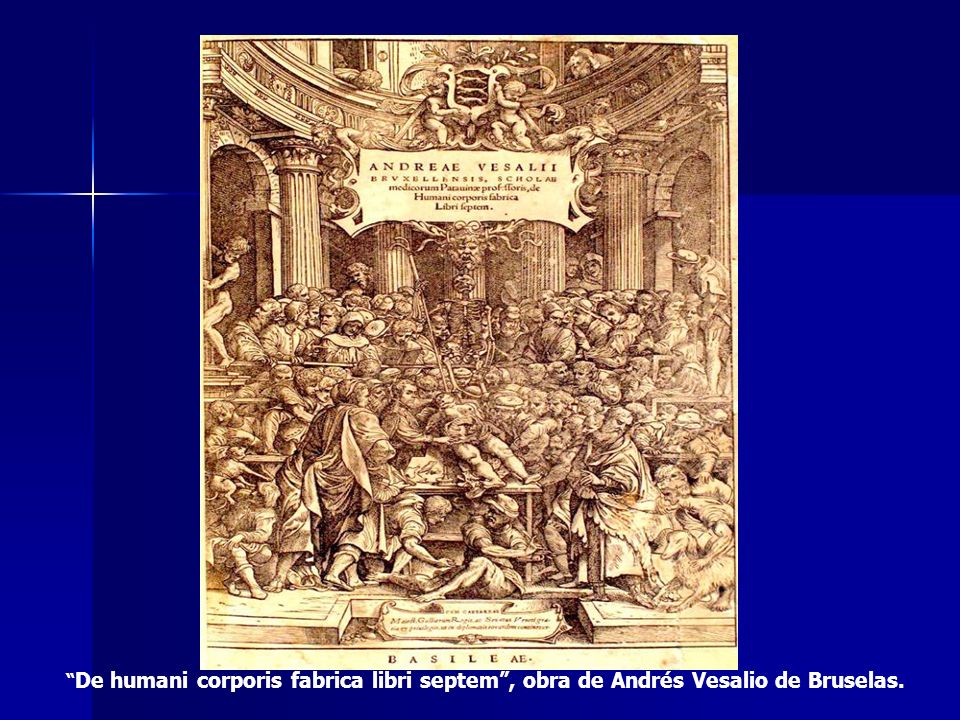De humani corporis fabrica libri septem , obra de Andrés Vesalio de Bruselas.