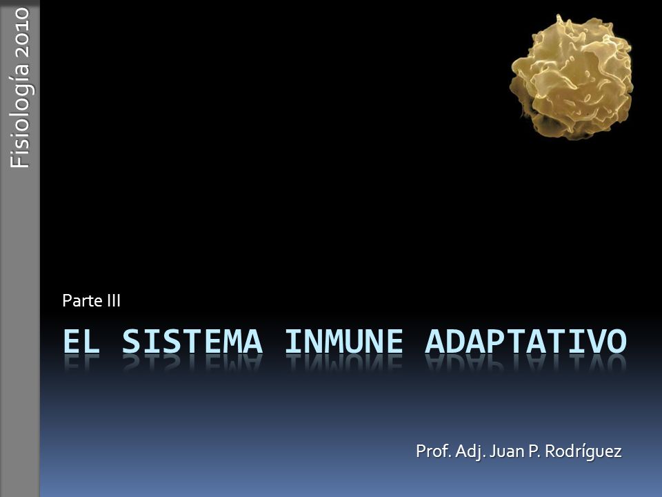 El sistema inmune Adaptativo