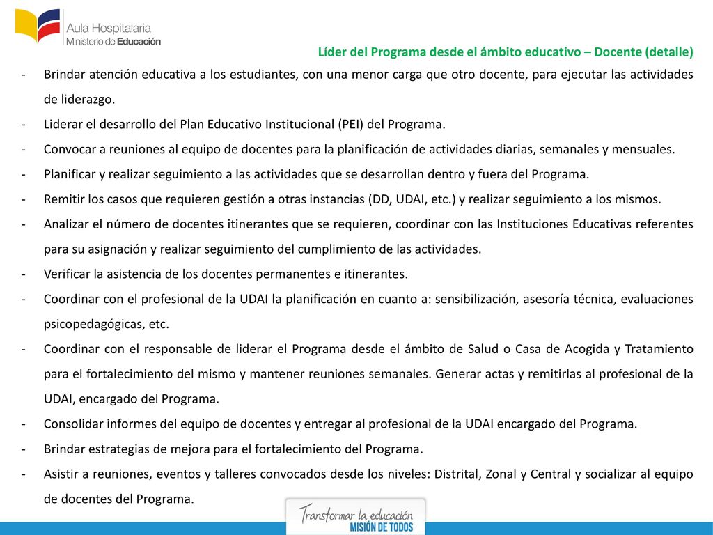 Líder del Programa desde el ámbito educativo – Docente (detalle)