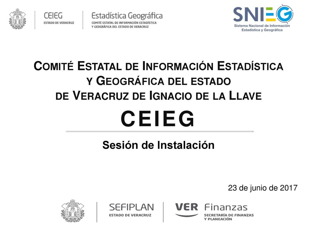 Comité Estatal de Información Estadística y Geográfica del estado de Veracruz de Ignacio de la Llave