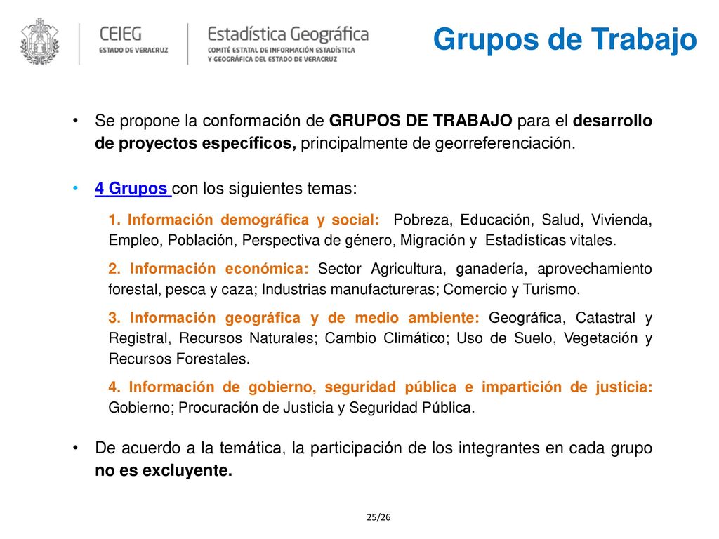 Grupos de Trabajo Se propone la conformación de GRUPOS DE TRABAJO para el desarrollo de proyectos específicos, principalmente de georreferenciación.