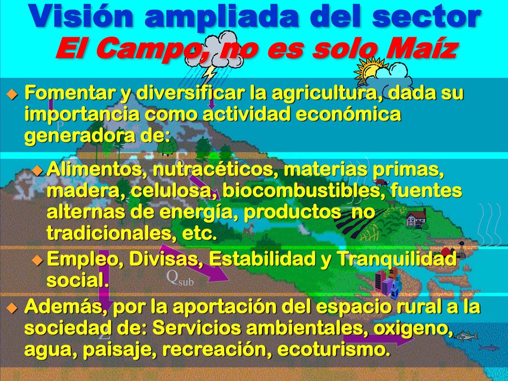 Visión ampliada del sector El Campo, no es solo Maíz