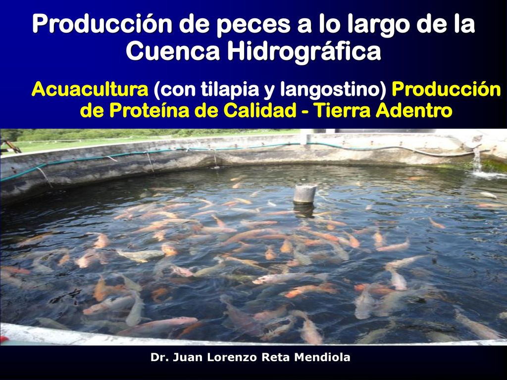 Producción de peces a lo largo de la Cuenca Hidrográfica