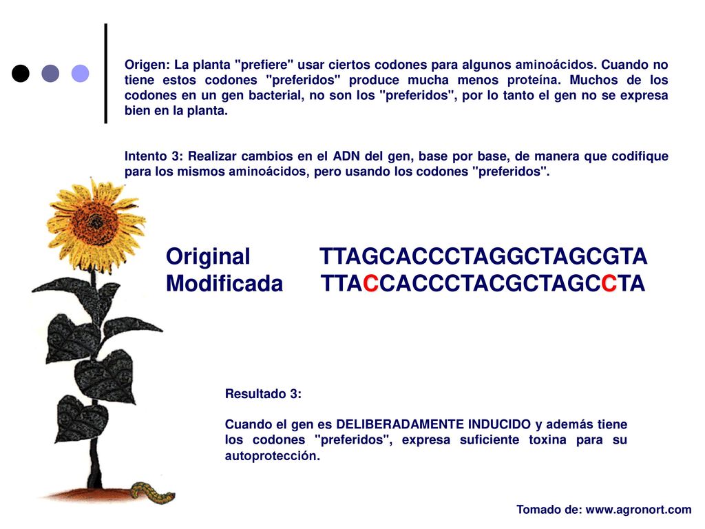 Original TTAGCACCCTAGGCTAGCGTA Modificada TTACCACCCTACGCTAGCCTA