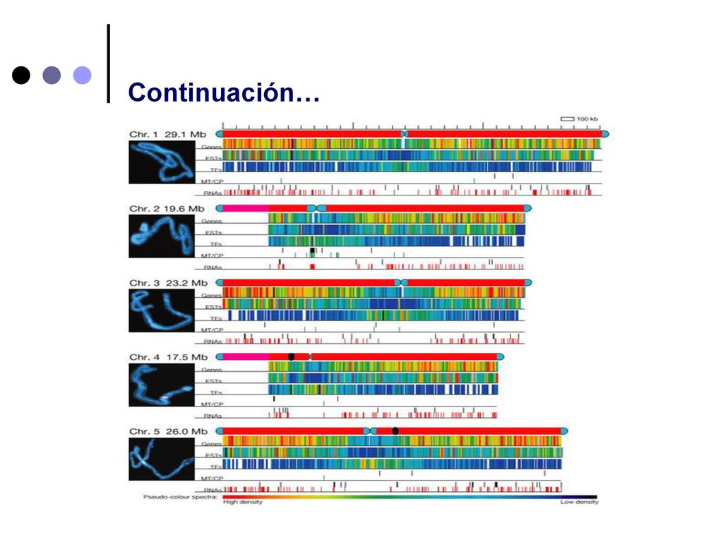 Continuación… 1985 – Las primeras plantas transgénicas resistentes a virus e insectos son probadas en campo.