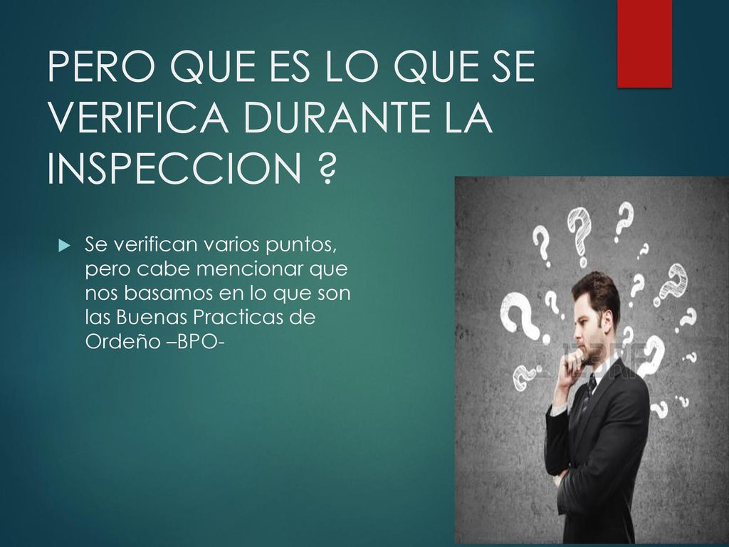 PERO QUE ES LO QUE SE VERIFICA DURANTE LA INSPECCION