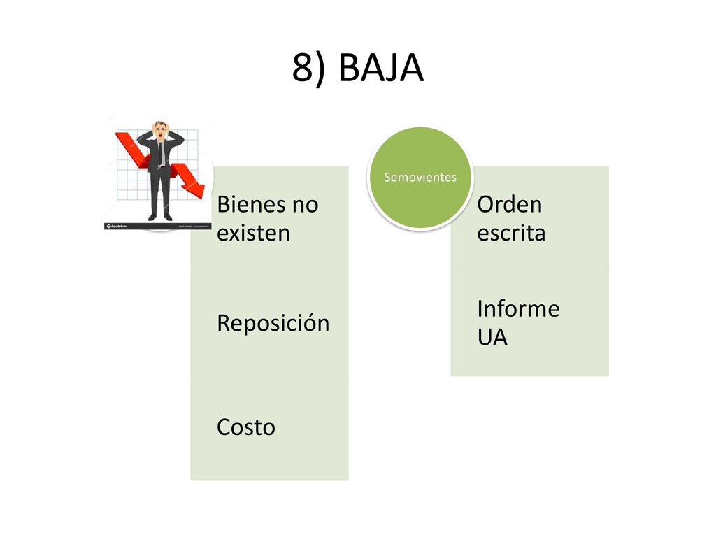 8) BAJA Semovientes Bienes no existen Reposición Costo Orden escrita
