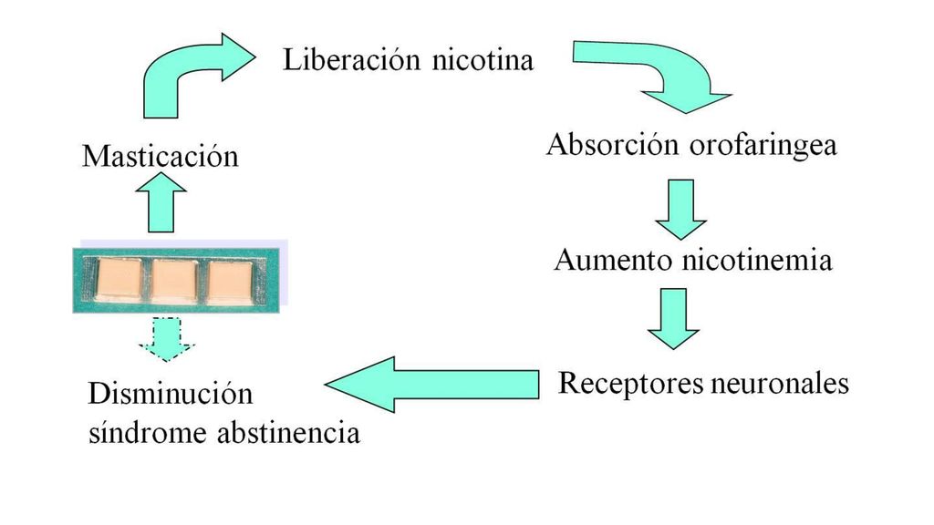Forma de uso: masticación lenta-fuerte sabor-stop masticación-chicle en encías hasta desaparición del sabor. Guardarlo en moflete 2-3 min.y masticarlo de nuevo.