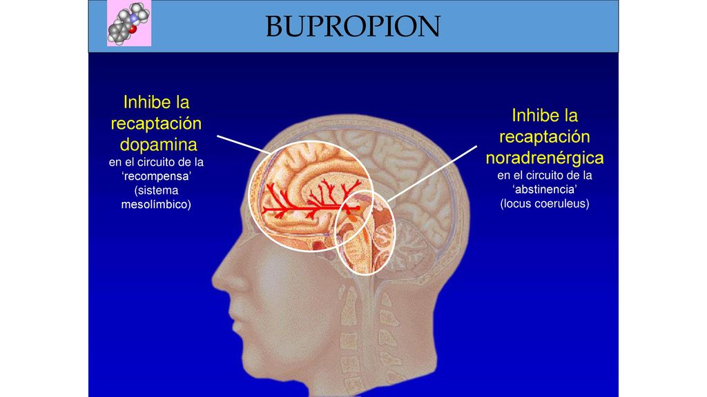 BUPROPION Inhibe la recaptación dopamina en el circuito de la ‘recompensa’ (sistema mesolímbico)