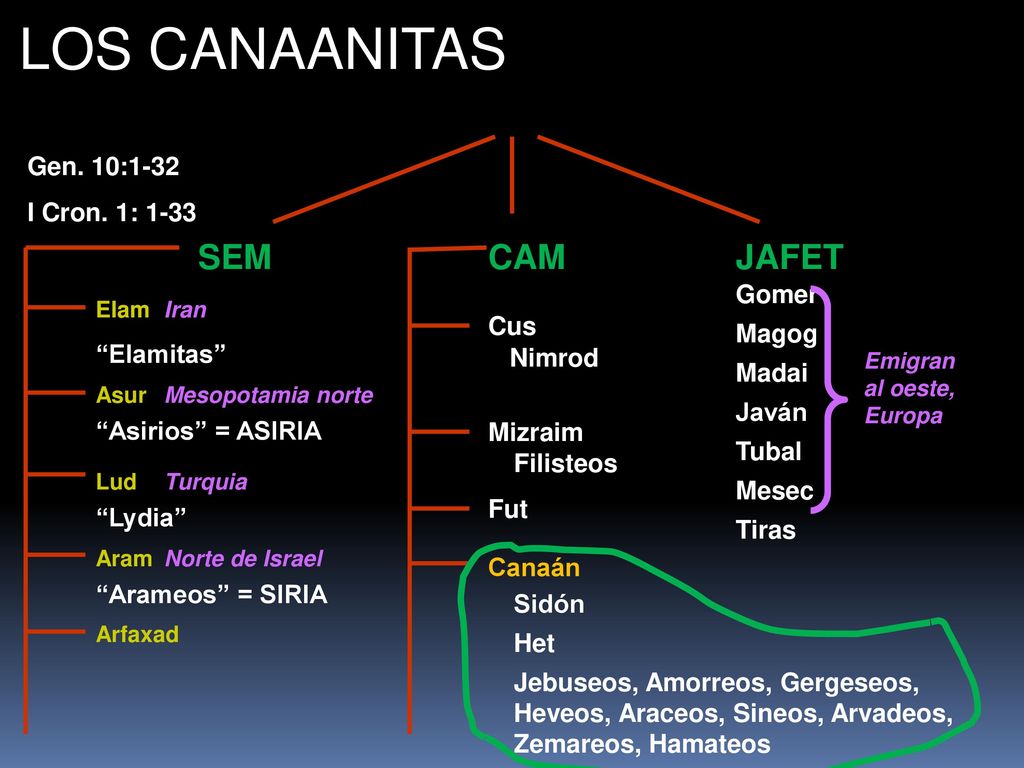 LOS CANAANITAS SEM CAM JAFET Gen. 10:1-32 I Cron. 1: 1-33 Gomer Magog