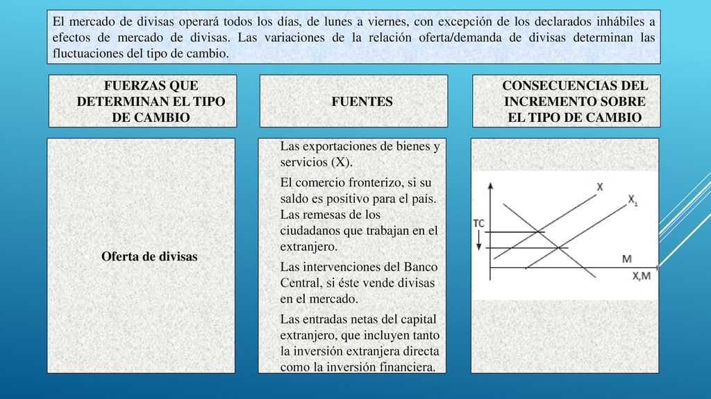 FUERZAS QUE DETERMINAN EL TIPO DE CAMBIO FUENTES