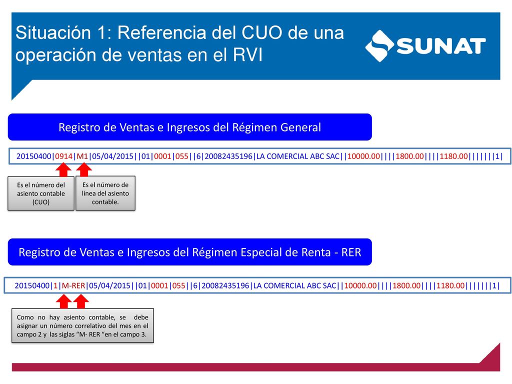 Situación 1: Referencia del CUO de una operación de ventas en el RVI