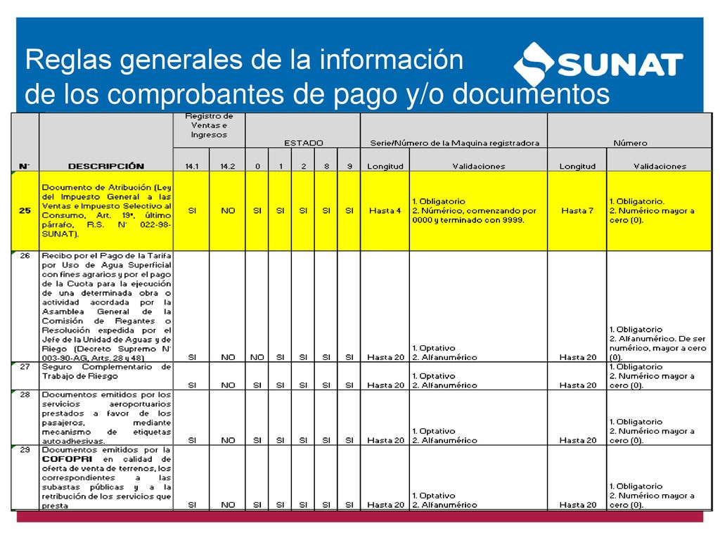 Reglas generales de la información de los comprobantes de pago y/o documentos