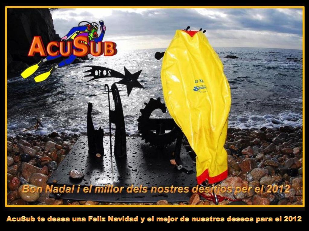 AcuSub te desea una Feliz Navidad y el mejor de nuestros deseos para el 2012
