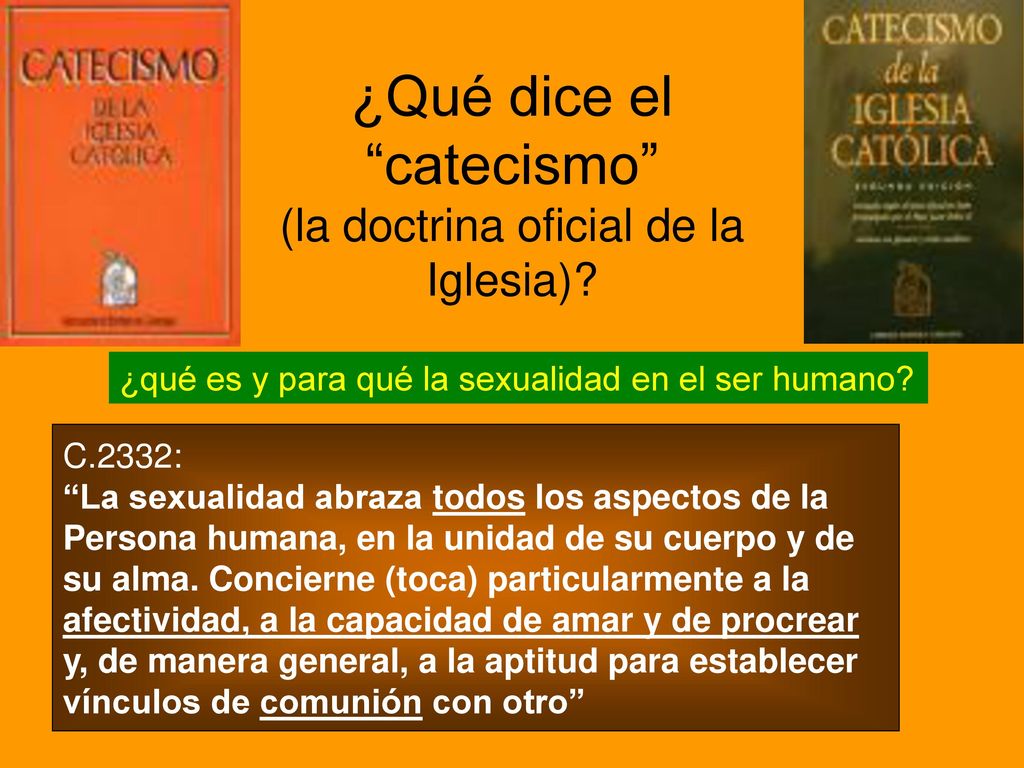 ¿Qué dice el catecismo (la doctrina oficial de la Iglesia)