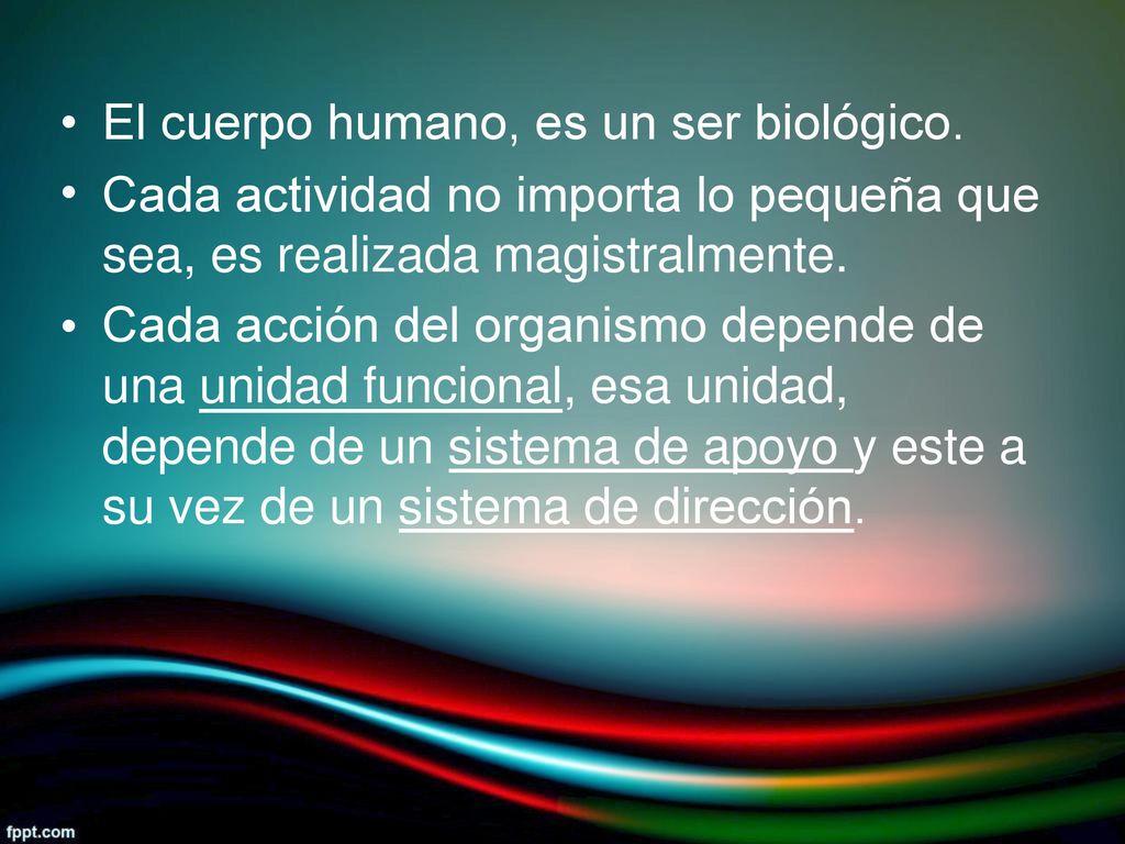 • El cuerpo humano, es un ser biológico. Cada actividad no importa lo pequeña que sea, es realizada magistralmente.