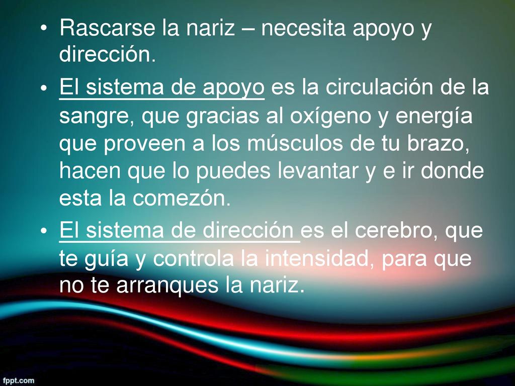 • Rascarse la nariz – necesita apoyo y. dirección. El sistema de apoyo es la circulación de la. •