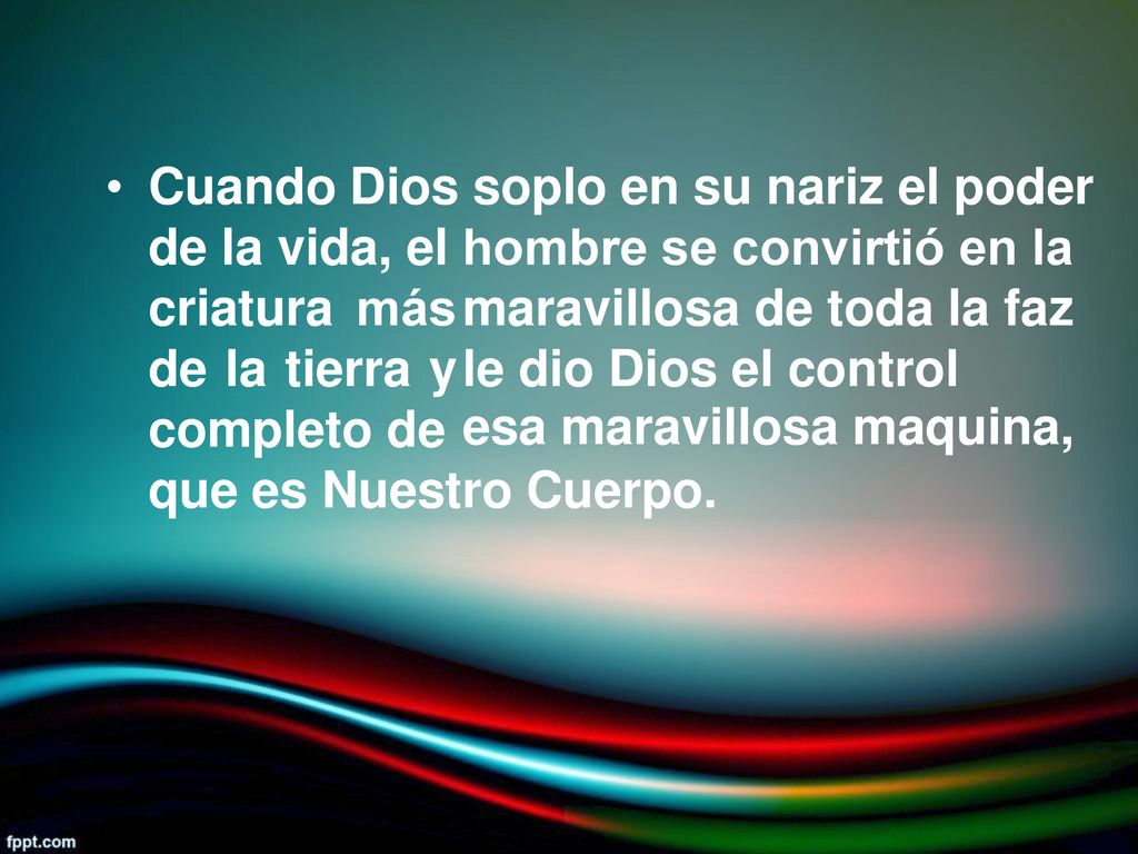 • Cuando Dios soplo en su nariz el poder. de la vida, el. criatura más de la tierra y completo de.