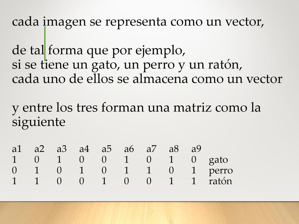 cada imagen se representa como un vector, de tal forma que por ejemplo, si se tiene un gato, un perro y un ratón, cada uno de ellos se almacena como un vector y entre los tres forman una matriz como la siguiente a1 a2 a3 a4 a5 a6 a7 a8 a gato perro ratón