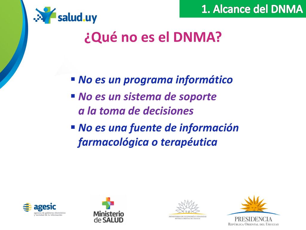 ¿Qué no es el DNMA 1. Alcance del DNMA No es un programa informático