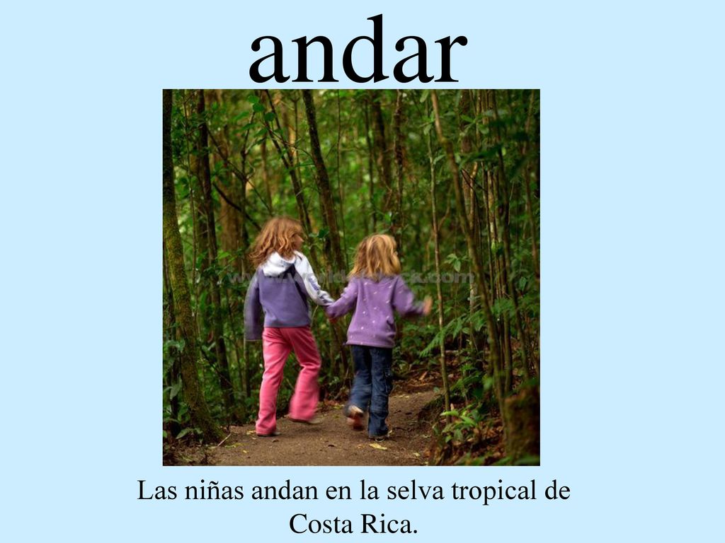 Las niñas andan en la selva tropical de Costa Rica.