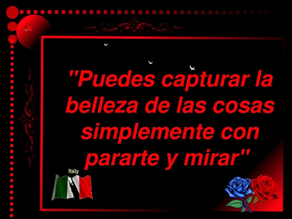 Puedes capturar la belleza de las cosas simplemente con pararte y mirar