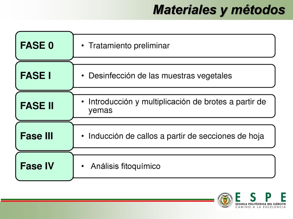 Materiales y métodos FASE 0 FASE I FASE II Fase III Fase IV
