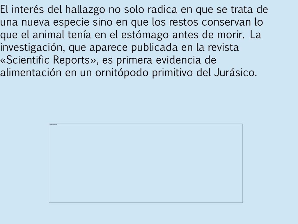 El interés del hallazgo no solo radica en que se trata de una nueva especie sino en que los restos conservan lo que el animal tenía en el estómago antes de morir.