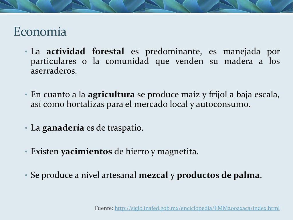 Economía La actividad forestal es predominante, es manejada por particulares o la comunidad que venden su madera a los aserraderos.