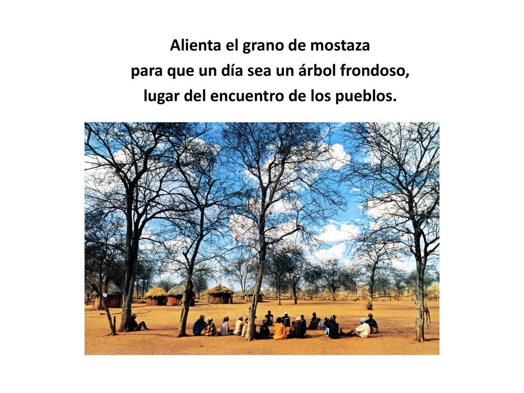 Alienta el grano de mostaza para que un día sea un árbol frondoso,