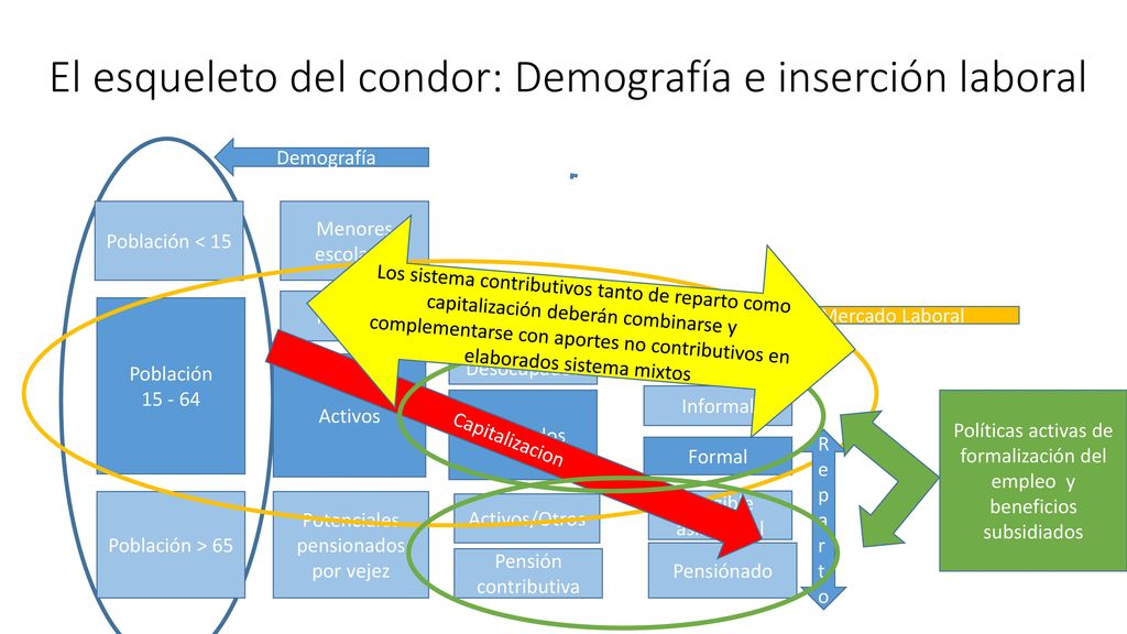 El esqueleto del condor: Demografía e inserción laboral
