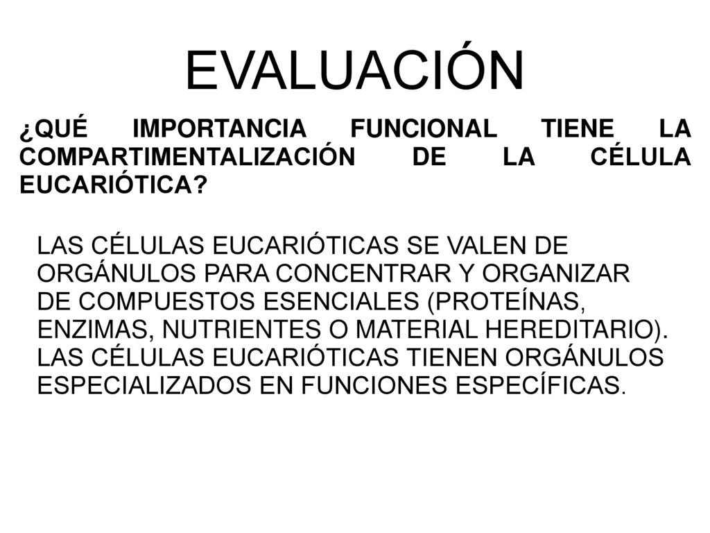 EVALUACIÓN ¿QUÉ IMPORTANCIA FUNCIONAL TIENE LA COMPARTIMENTALIZACIÓN DE LA CÉLULA EUCARIÓTICA