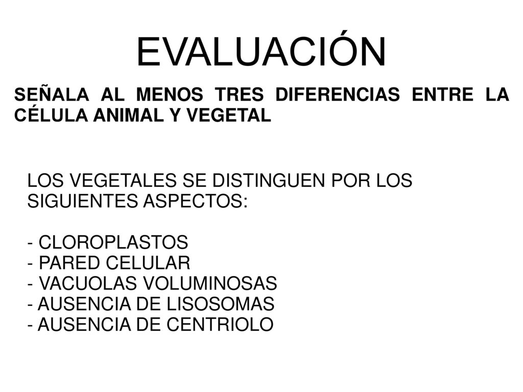 EVALUACIÓN SEÑALA AL MENOS TRES DIFERENCIAS ENTRE LA CÉLULA ANIMAL Y VEGETAL. LOS VEGETALES SE DISTINGUEN POR LOS SIGUIENTES ASPECTOS: