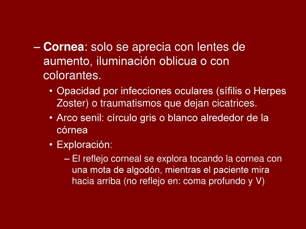 Cornea: solo se aprecia con lentes de aumento, iluminación oblicua o con colorantes.
