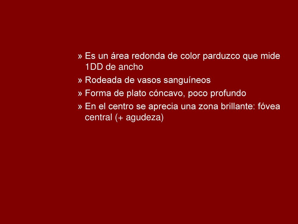 Es un área redonda de color parduzco que mide 1DD de ancho