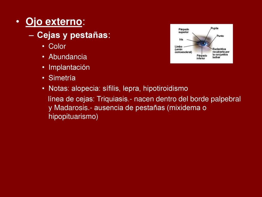 Ojo externo: Cejas y pestañas: Color Abundancia Implantación Simetría