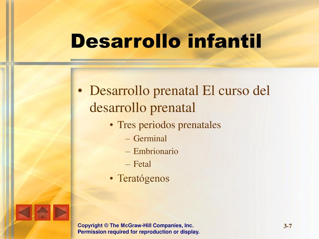 Desarrollo infantil Desarrollo prenatal El curso del desarrollo prenatal. Tres periodos prenatales.