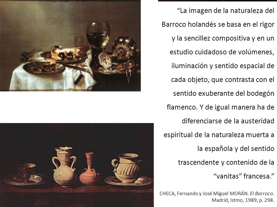 La imagen de la naturaleza del Barroco holandés se basa en el rigor y la sencillez compositiva y en un estudio cuidadoso de volúmenes, iluminación y sentido espacial de cada objeto, que contrasta con el sentido exuberante del bodegón flamenco. Y de igual manera ha de diferenciarse de la austeridad espiritual de la naturaleza muerta a la española y del sentido trascendente y contenido de la vanitas francesa.