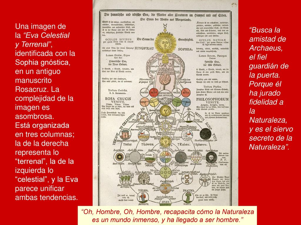 Una imagen de la Eva Celestial Busca la y Terrenal , amistad de