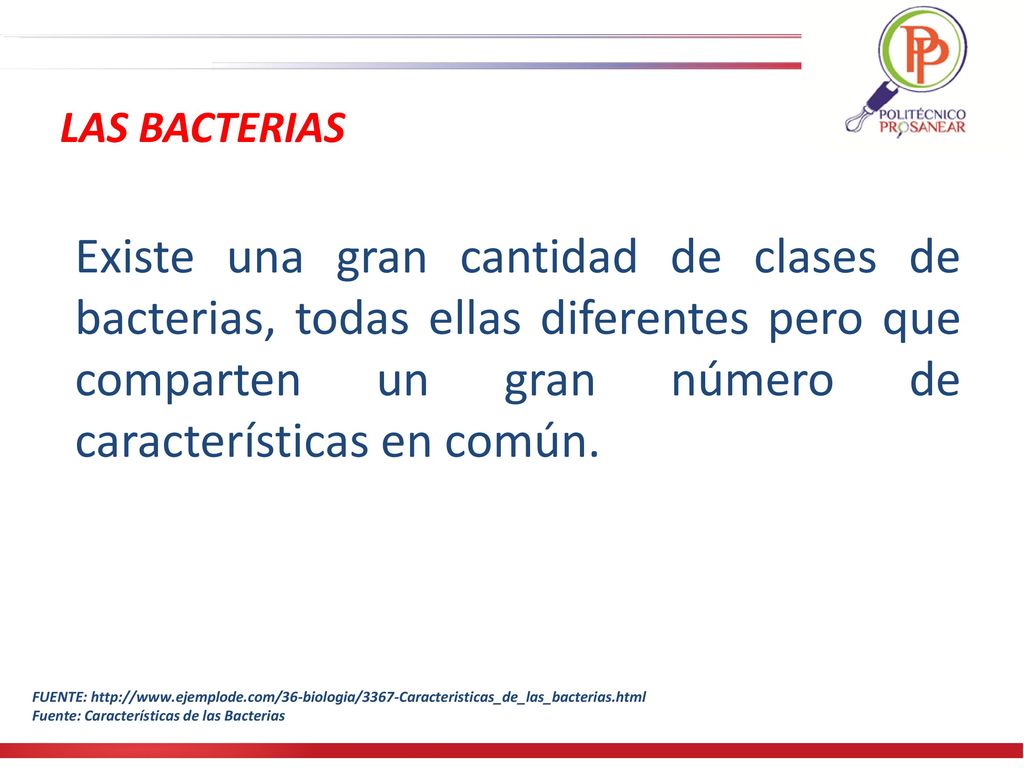 LAS BACTERIAS Existe una gran cantidad de clases de bacterias, todas ellas diferentes pero que comparten un gran número de características en común.