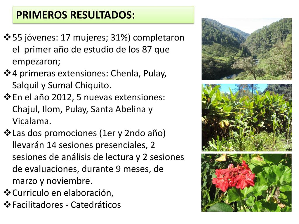 PRIMEROS RESULTADOS: 55 jóvenes: 17 mujeres; 31%) completaron el primer año de estudio de los 87 que empezaron;