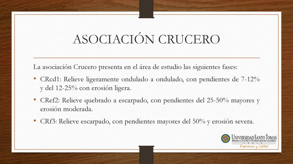 ASOCIACIÓN CRUCERO La asociación Crucero presenta en el área de estudio las siguientes fases: