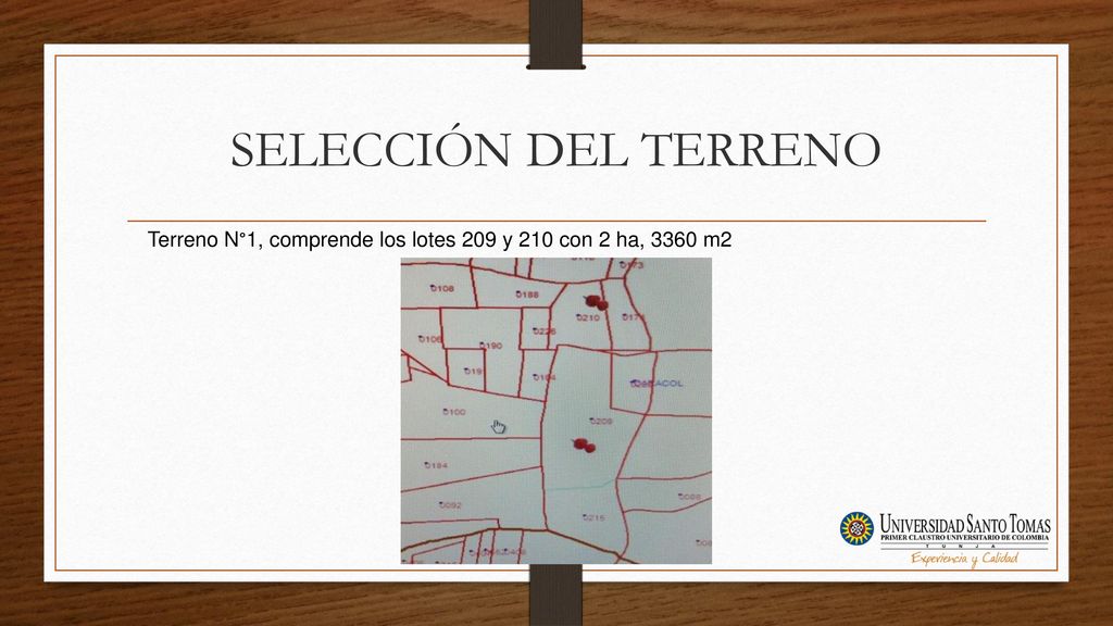 SELECCIÓN DEL TERRENO Terreno N°1, comprende los lotes 209 y 210 con 2 ha, 3360 m2