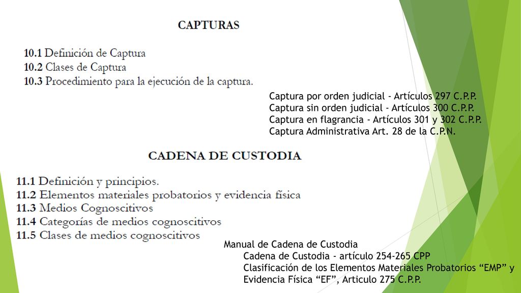 Captura por orden judicial - Artículos 297 C.P.P.